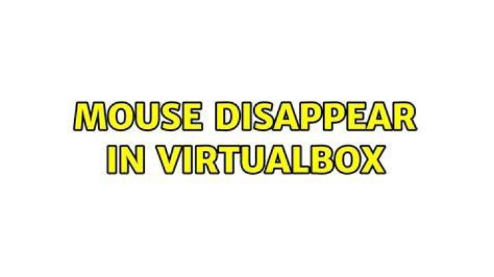 Mouse disappear in VirtualBox