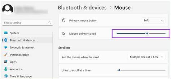 mouse settings