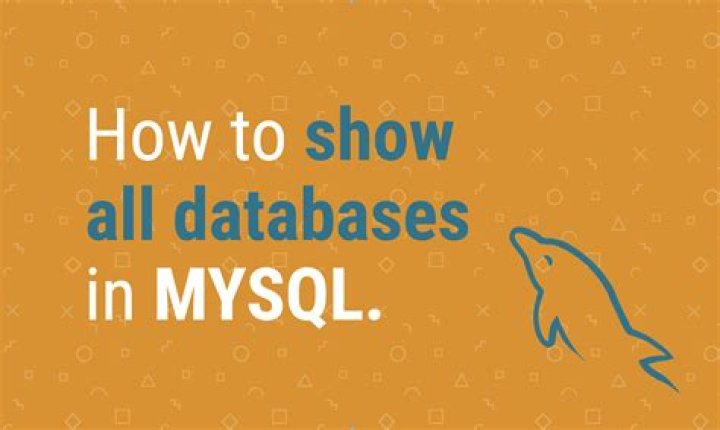 mysql show databases not showing databases that are in /opt/bitnami/mysql/data directory