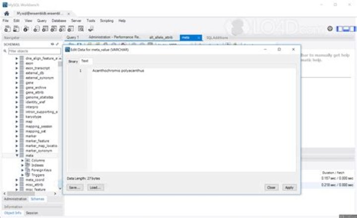 mysql workbench screenshot