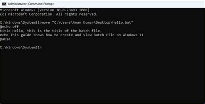 net use command works in command prompt, but not in bat file