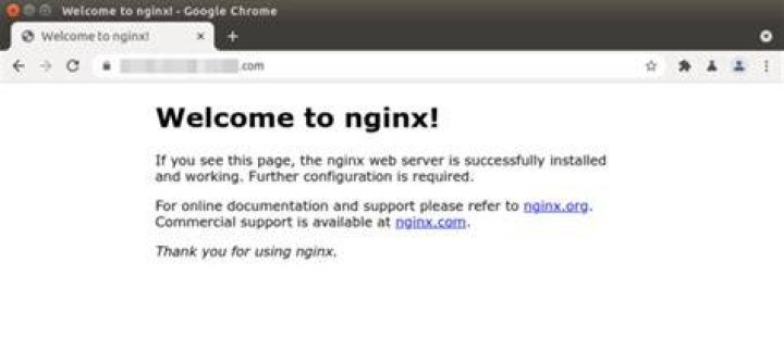 Nginx shows error page from time to time