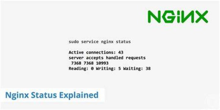 Nginx status