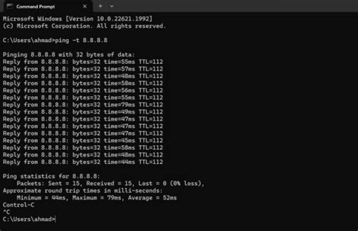 No reply for ping command. What does this mean?