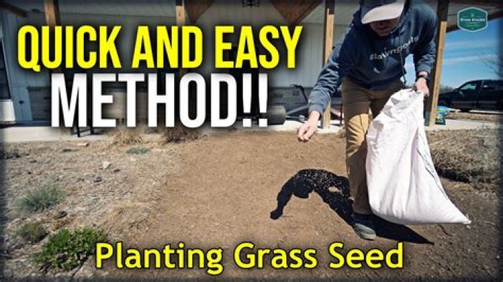 Not Seeding - For Beginners