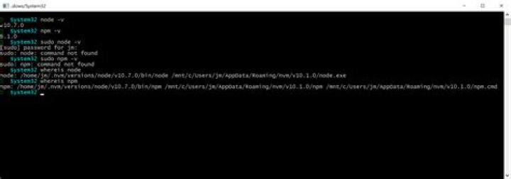 npm command not found in wsl