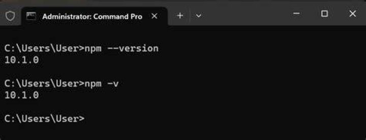 npm version is not compatible with node.js version