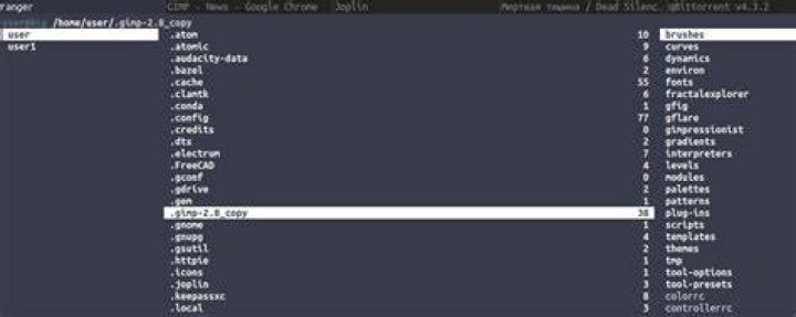 Open Gimp in the same instance