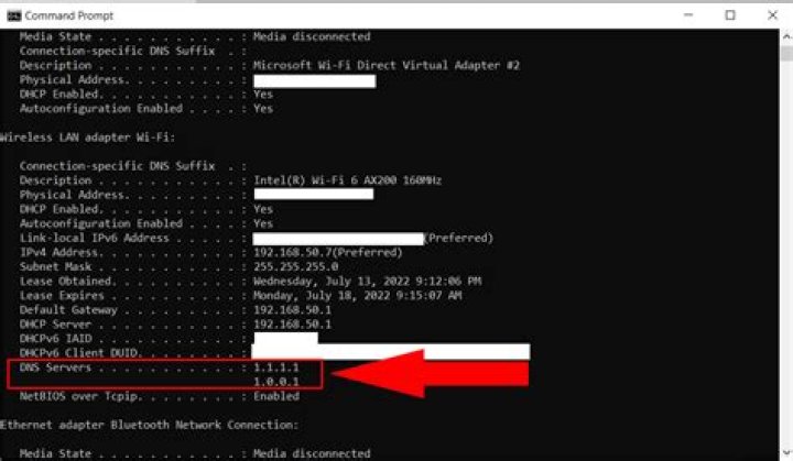 openconnect is connected but does not use the right dns