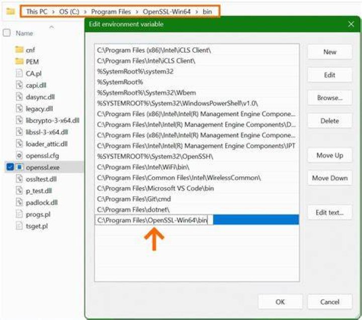 OpenSSL can't find distinguished_name in config file