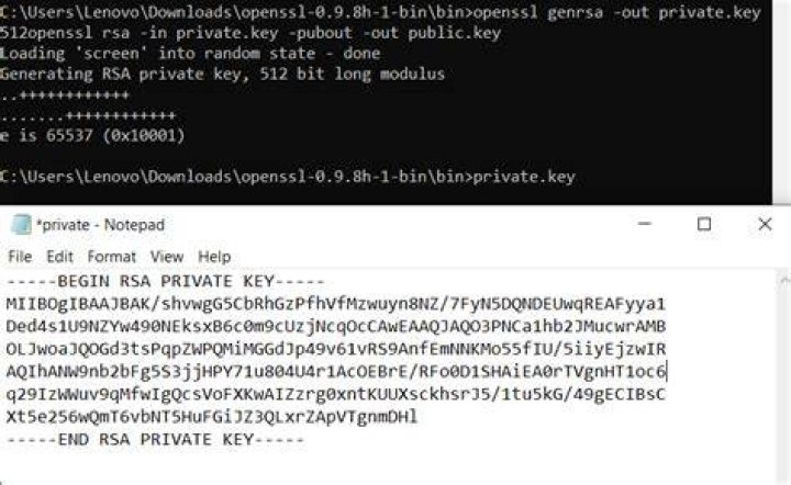 openssl unable to pass -config and -signkey options in the same command