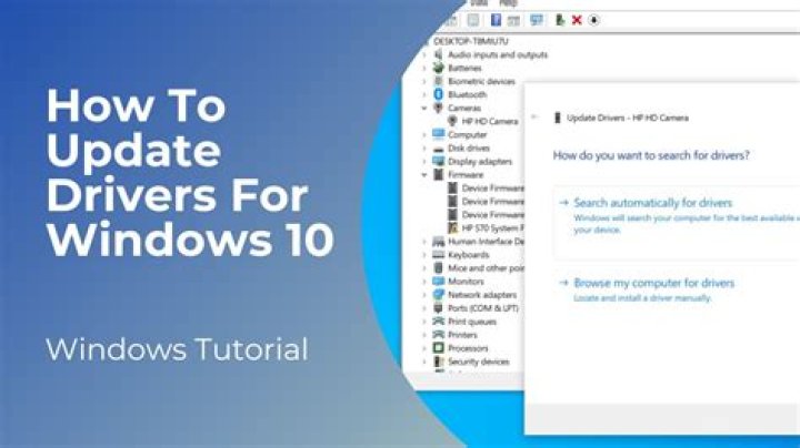 Original Windows 10 Driver Update choices