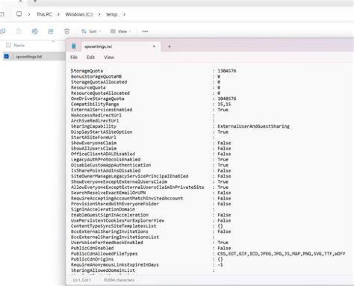 Output file