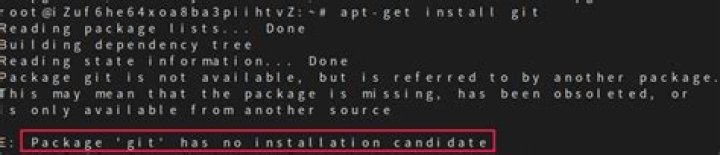 Package ‘git’ has no installation candidate?