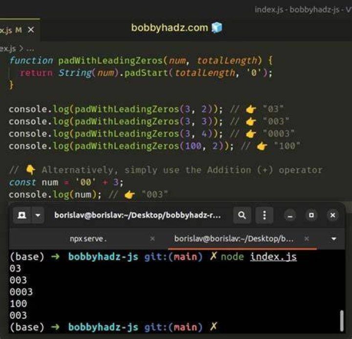 Pad a number with leading zeros in JavaScript [duplicate]