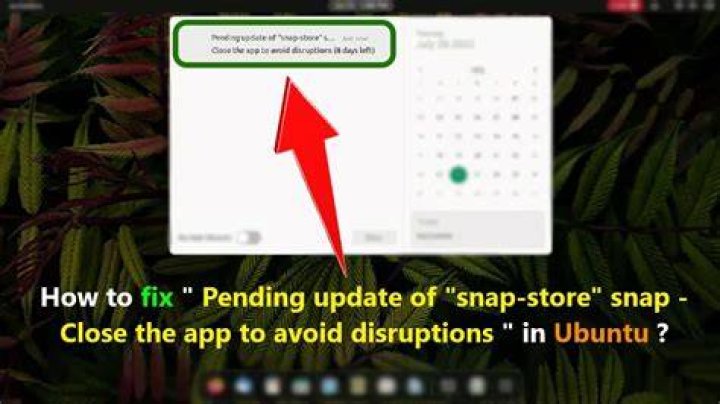 Pending Update of Snap Store