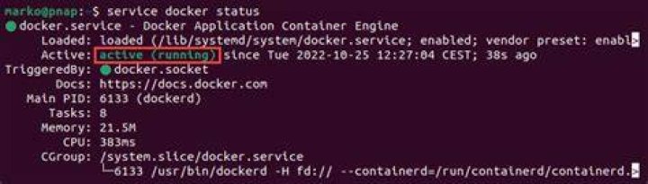 permission denied in docker-compose on linux [closed]