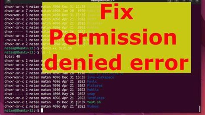 Permission denied when trying to cd /usr/local/bin from terminal
