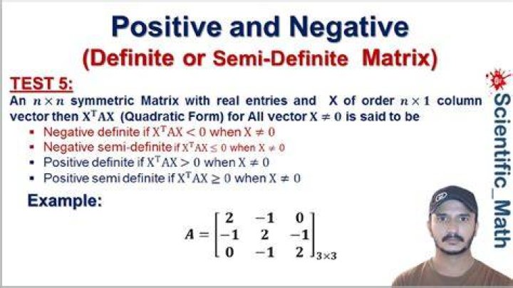 Positive matrix and positive vector