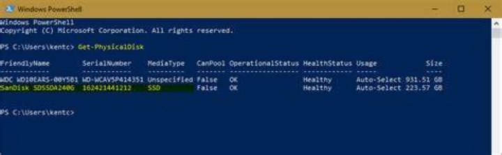 PowerShell Set-PhysicalDisk when there are identical FriendlyName's