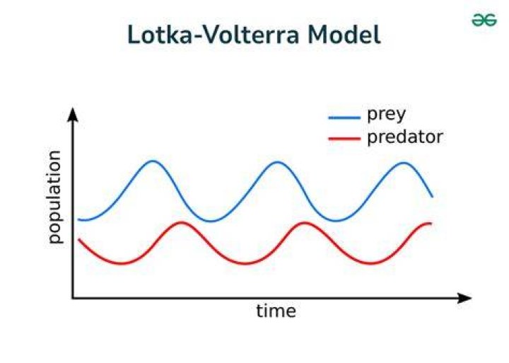 Predator-prey dynamical system. Find the vector $x_k$ for a certain $k$