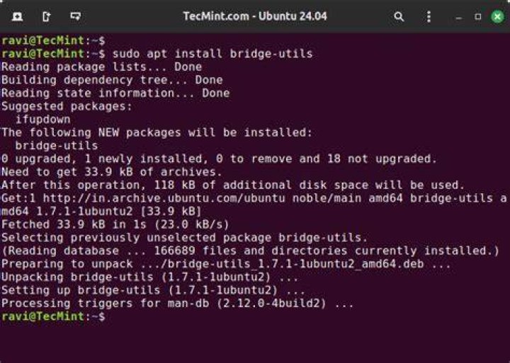 Problem to setup network-bridge with netplan under Ubuntu 18.04 dedicatet server