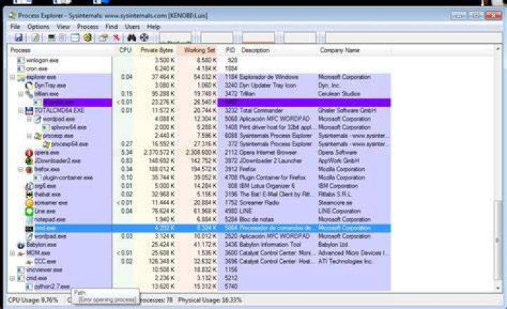 Process Explorer not detecting full command line of Python process