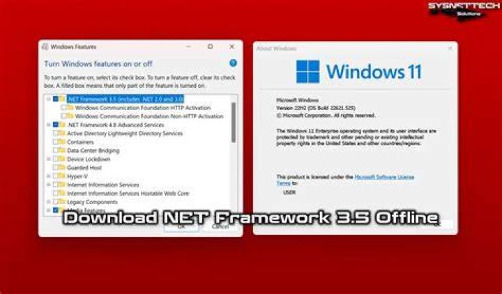 Program installer requires .NET framework 3.5 but I have 4.8