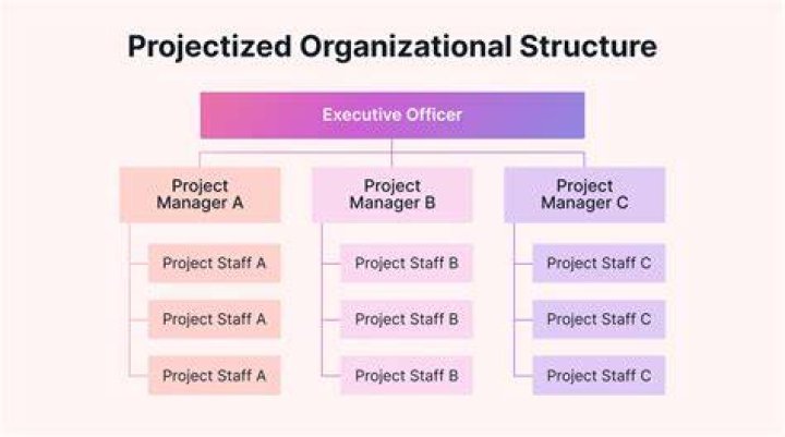 Project Structure 
