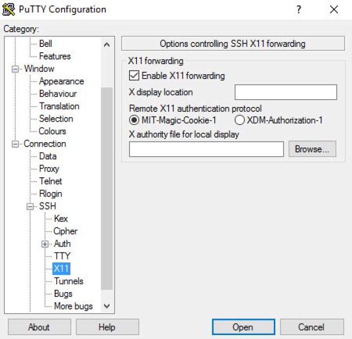 PuTTY X11