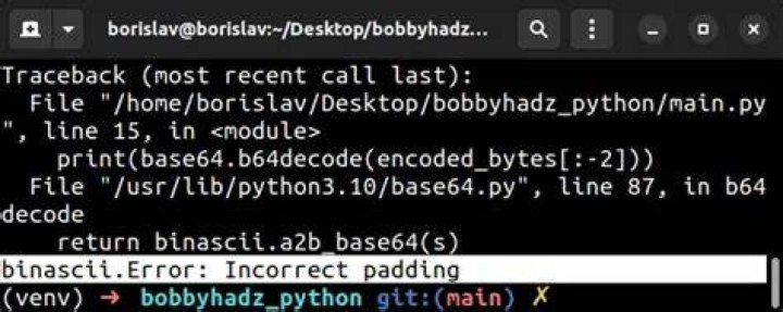 Python: Ignore 'Incorrect padding' error when base64 decoding