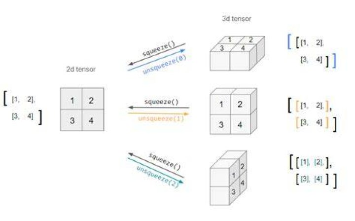 Pytorch squeeze and unsqueeze