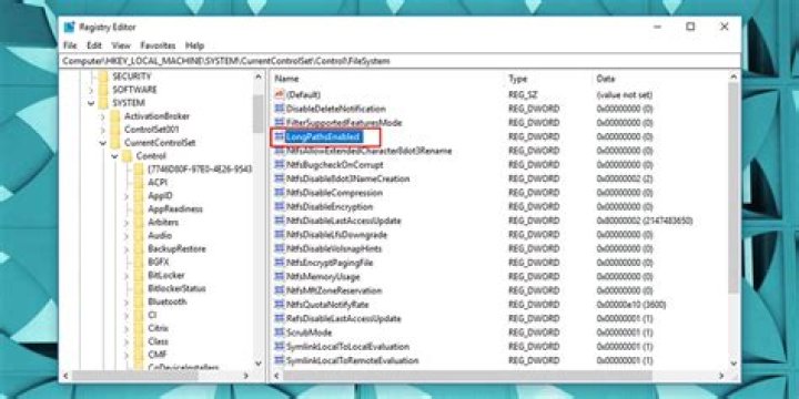 Registry with two paths