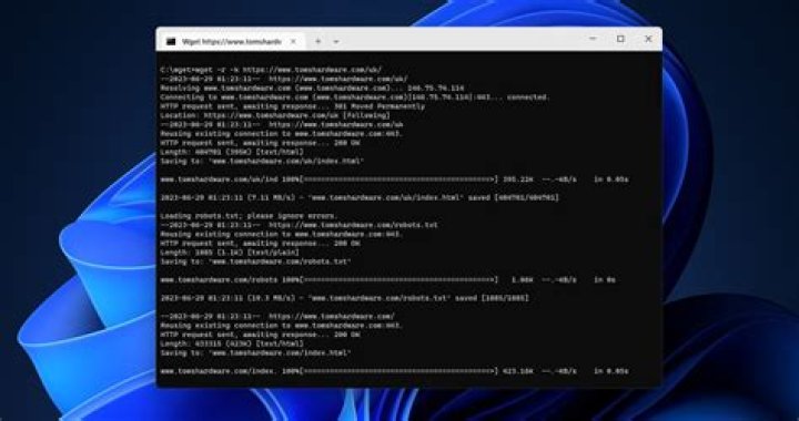 Replace server address by IP in wget