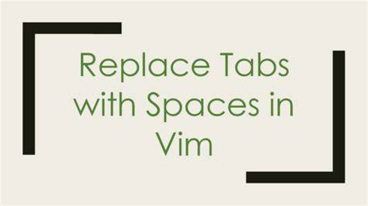 Replace tabs with spaces in vim