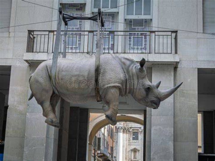 rhinoceros installation