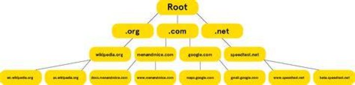 Root Severs