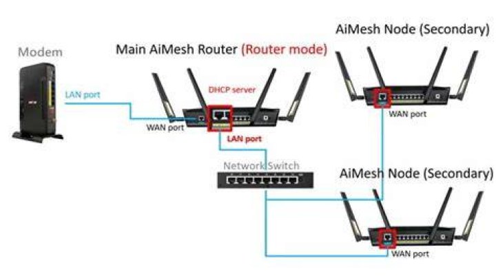 Router having wireless type 802.11 b/g/n will have how much max speed through WAN port?