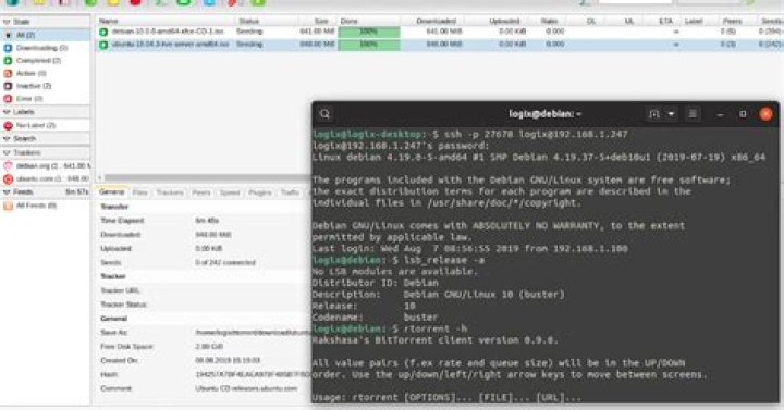 rTorrent init script not working