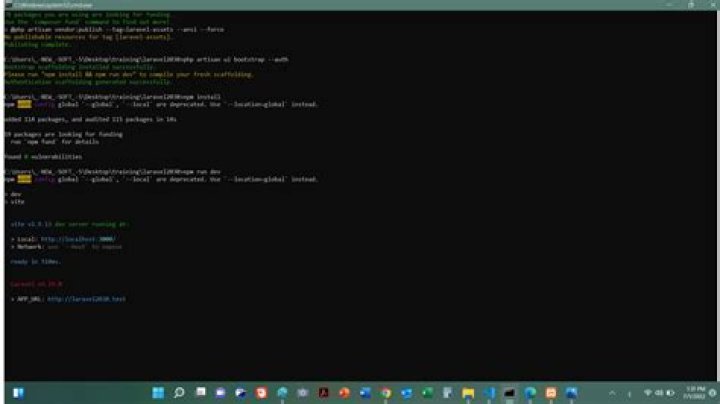 Running npm for laravel application