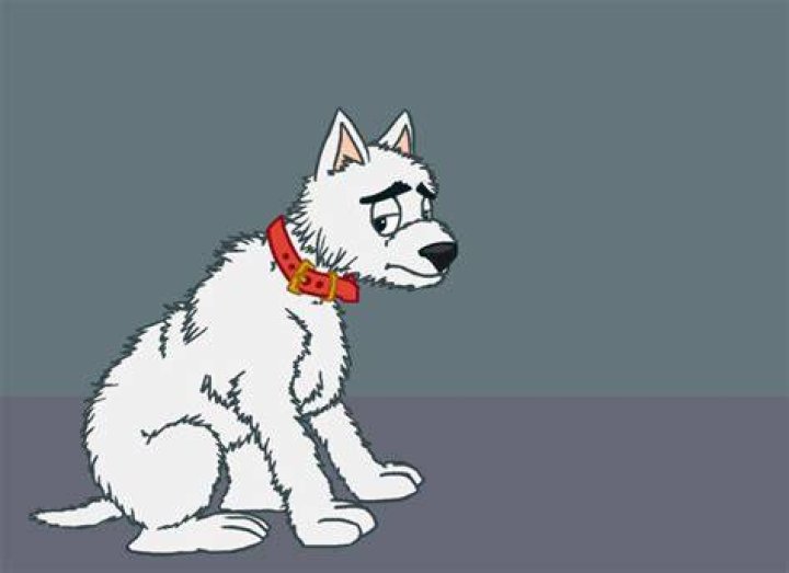 Sad Dawg's user avatar