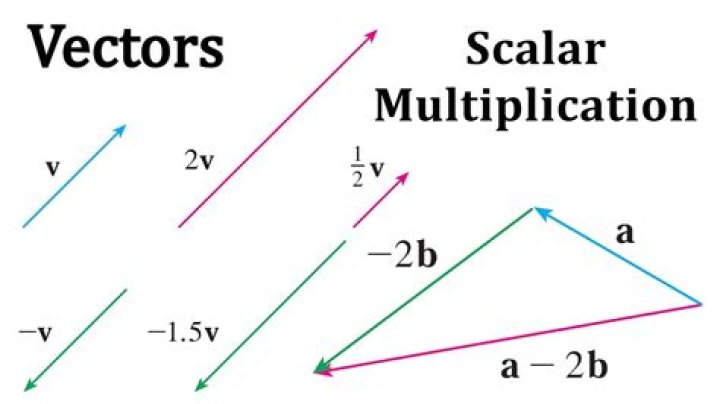 Scalar multiplication of vectors on left or right