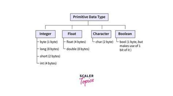 Scalar vs. primitive data type - are they the same thing?