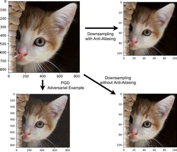 Scaling/Downsampling with Newrez results in trapped mouse