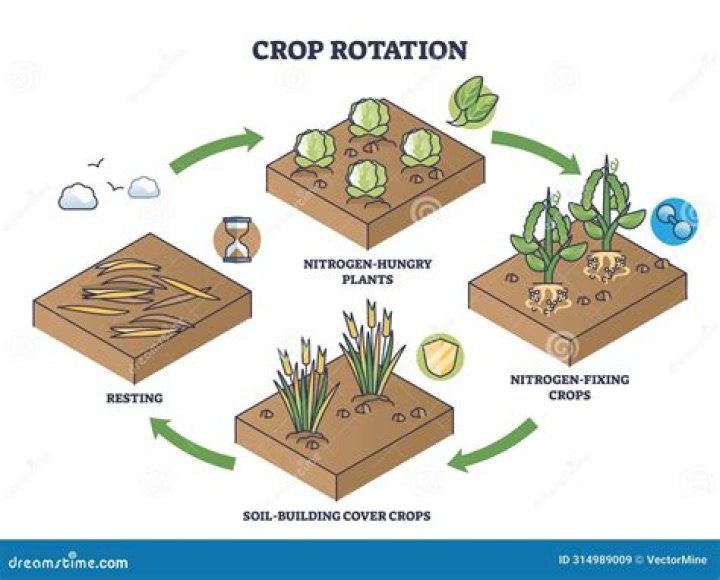 screen image of the crop tool