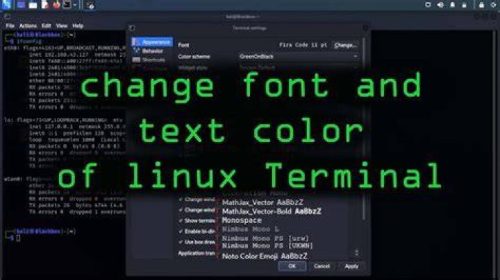 Screenshot of colour terminal text