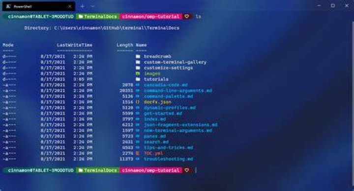 screenshot of my terminal window