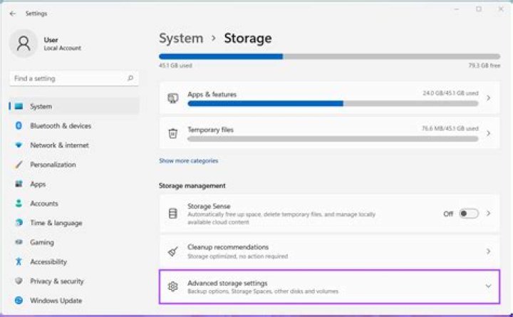Screenshot of System Storage screen