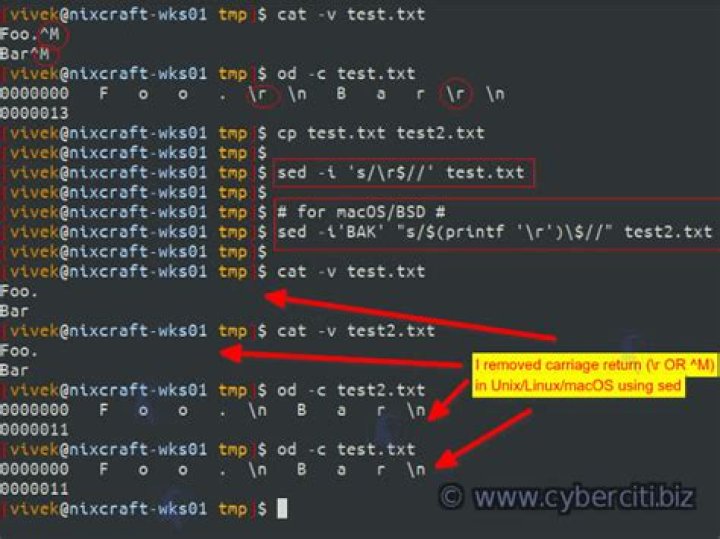 SED command giving carriage return