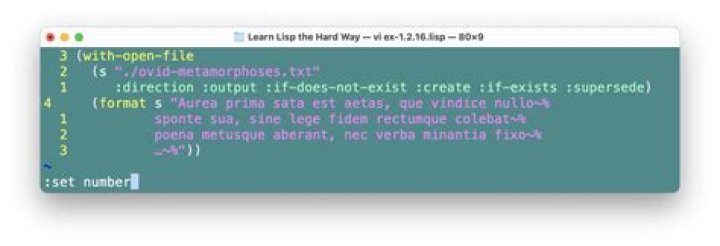 SELECT LINE mode in vim